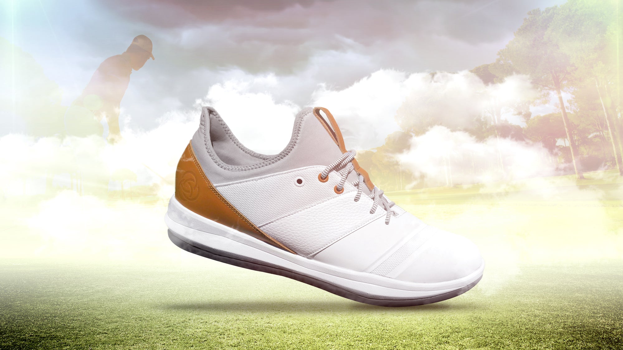 Forces in an Athletic Shoe